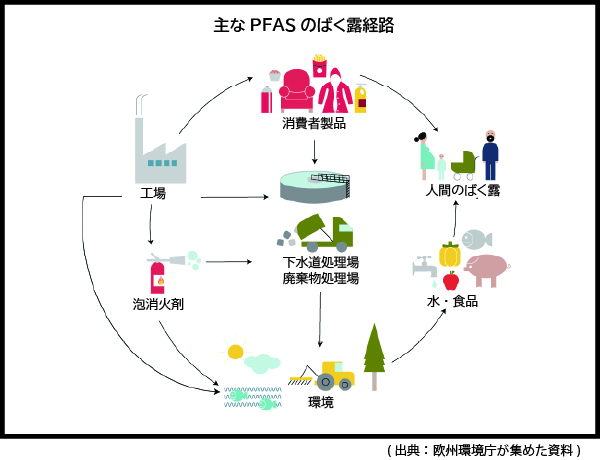 主なPFASのばく露経路